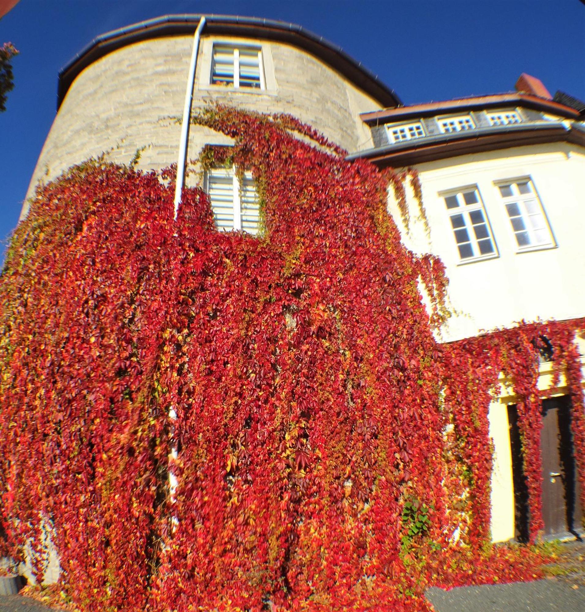 Schloss Stiege Eksteriør billede